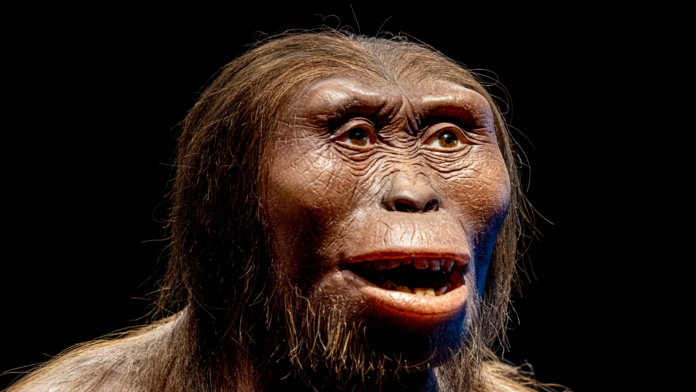 Dieta Paleo: “Mangiare come i nostri antenati” per ritrovare il benessere naturale