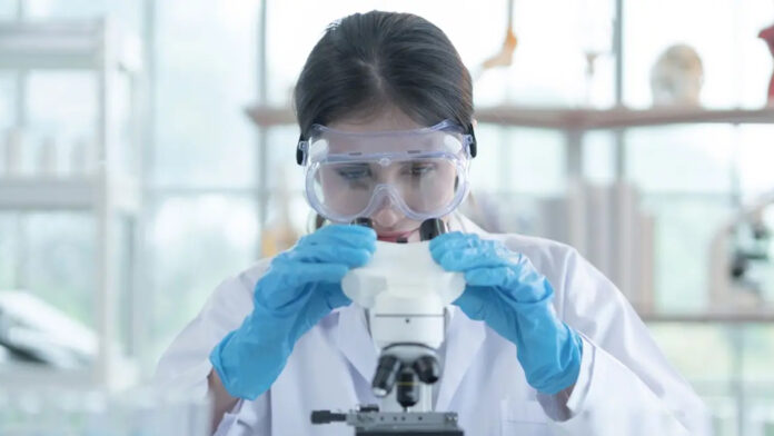 Inversione dell’invecchiamento: “Il primo test sull’uomo di un metodo di ringiovanimento inizierà a breve”