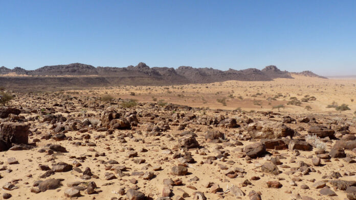 Sud Sudan: 7,8 milioni di persone verso la fame acuta
