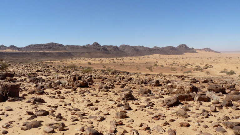 Sud Sudan: 7,8 milioni di persone verso la fame acuta