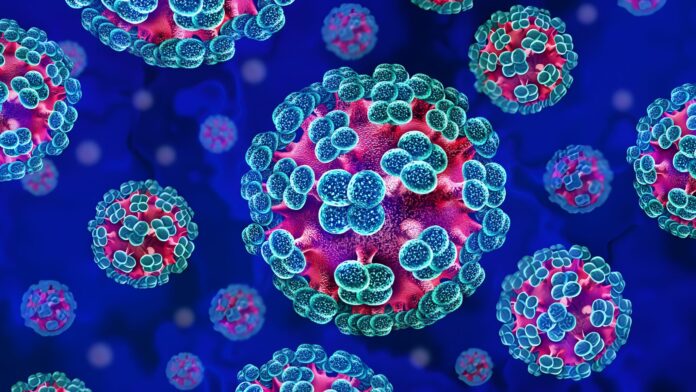 hantavirus Hantavirus, gli immunologi: “Non ci sarà una nuova pandemia”