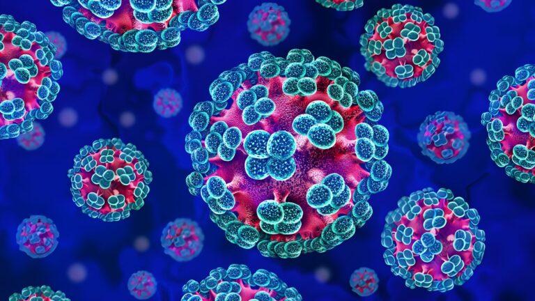 Hantavirus, gli immunologi: “Non ci sarà una nuova pandemia”