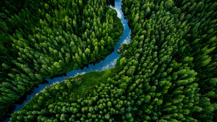 igw-giornata-mondiale-delle-foreste Nuove regole UE per sementi e foreste più resilienti