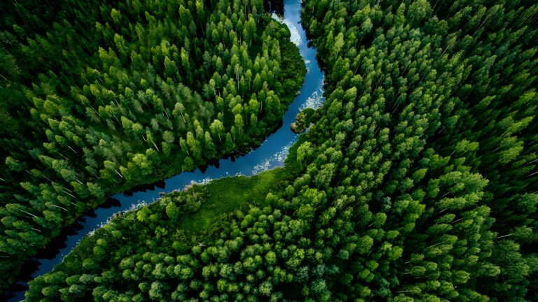 Nuove regole UE per sementi e foreste più resilienti