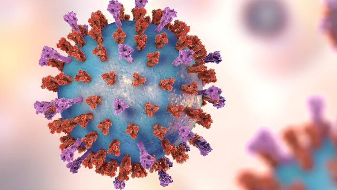 Morbillo: perché la prevenzione è l’unica arma contro il “virus del ritorno”