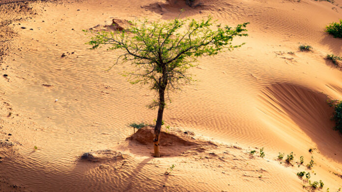 Il Sahel e il “tramonto francese”: la nuova egemonia russa
