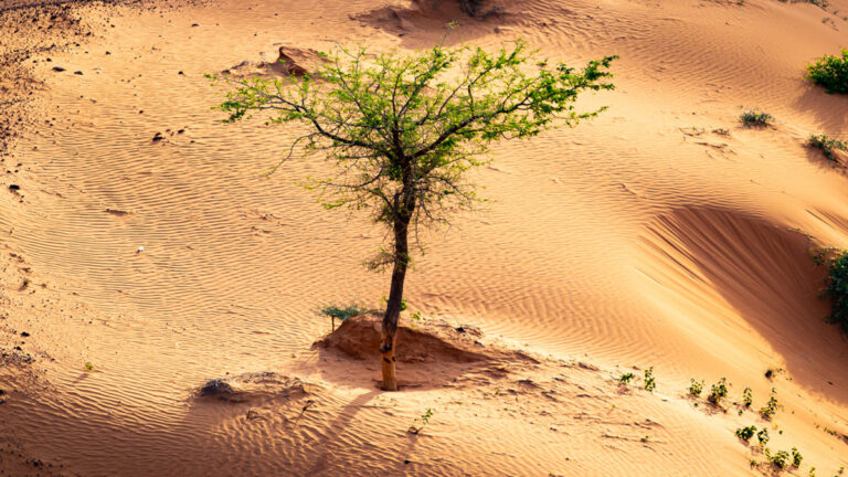 Il Sahel e il “tramonto francese”: la nuova egemonia russa