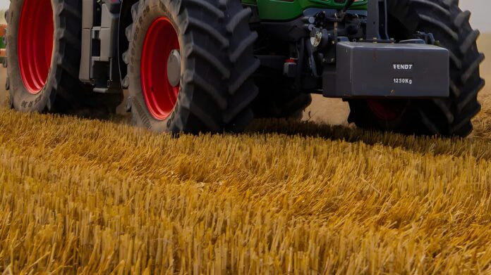 Nuove tecniche genomiche: il Consiglio adotta norme per “sistemi alimentari dell’UE sostenibili e competitivi”