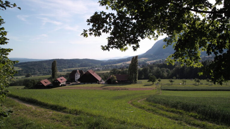 I comuni meno popolati della Svizzera: il caso record di Kammersrohr