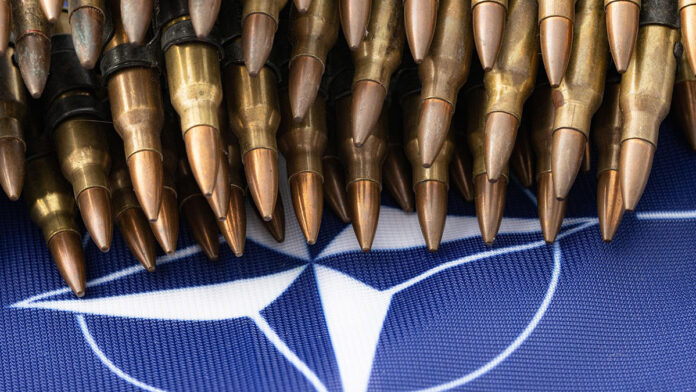 Nato Vertice NATO ad Ankara: i leader dei 32 Paesi membri si riuniscono in un clima di forte transizione