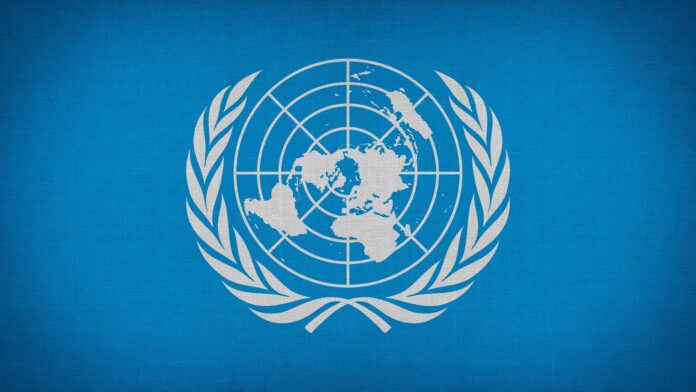 onu Vent’anni di impegno per il Consiglio dei diritti umani ONU a Ginevra
