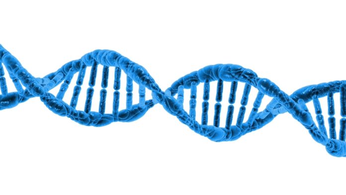 dna La rivoluzione del DNA: dalla doppia elica alla cura delle malattie rare