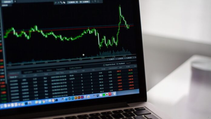 Borse. Photo courtesy: Pixabay